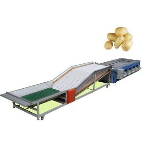 China Lemon Fruit Grading System wholesale