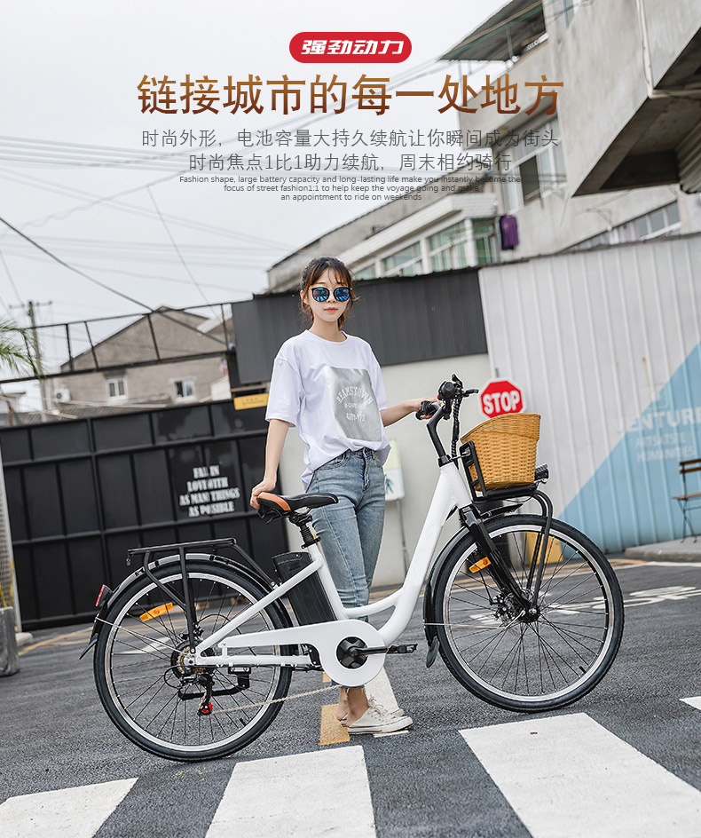 26 Inch 36V 250W Rear Hub Electric Bike With Front Disc Rear Disc Brake