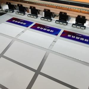 China Heat Transfer DTF PET Transfer Film For custom T Shirt Printing wholesale