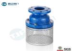 Compact Foot Valve Strainer DN50 - DN500 With Ductile Iron Body