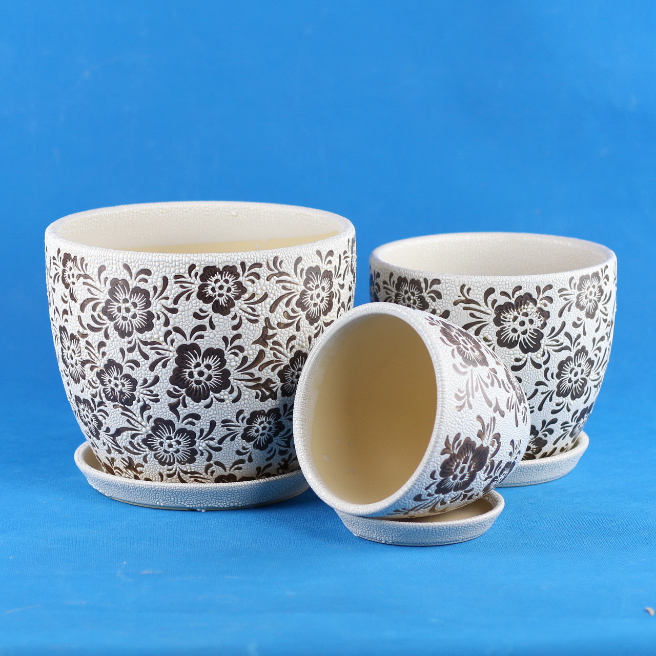 Add a Touch of Style to Your Plants with our Ceramic Pots Collection