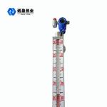 DN25 Side Mounted Magnetic Level Indicator IP65 SS304 For Petroleum Chemical