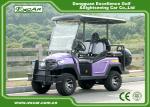 EXCAR Electric Hunting Buggy With Trojan Battery/Curtis Controller