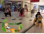 Hansel birthday parties coin operated electronic riding animal toys in Guangzhou