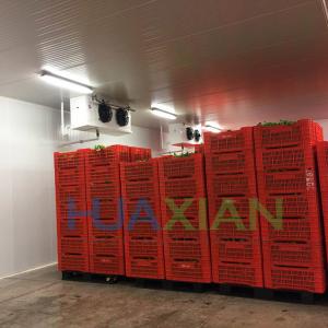 China Fish/Beef/Chicken/Potato/Onion/Ginger Cold Room Refrigeration Type Blast Cooling Walk in Storage Freeze wholesale