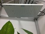 IBoard 120 AC100V Dimmable LED Grow Lights