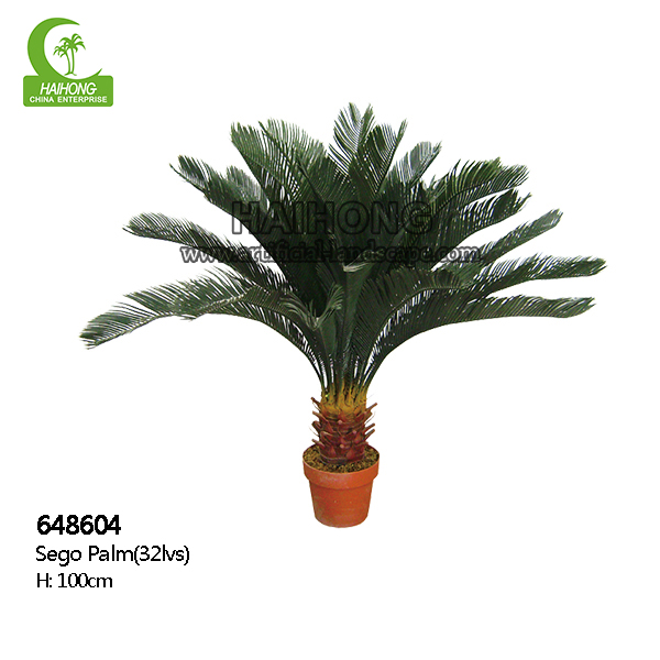 artificial Sego palm