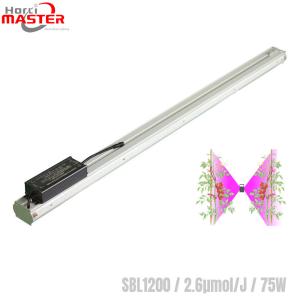 China Double Sided LED Strips Grow Light 660nm Anodizing Artificial Light For Indoor Plants wholesale