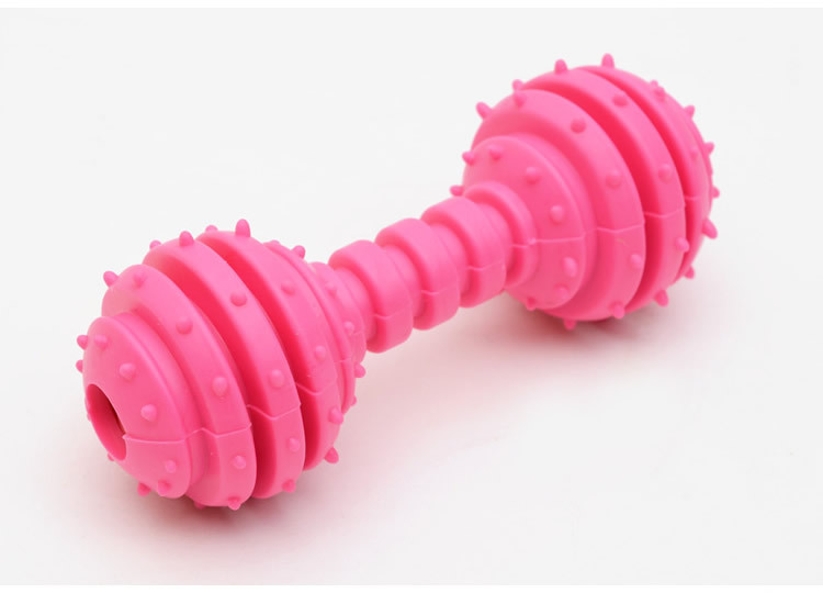 Colorful Bone Shape TPR Pet Dog Toy Suitable for All Seasons Barbell Dog Chew Toy