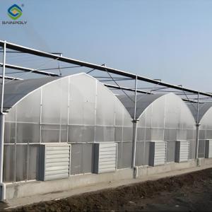 China Easy To Assemble Multi Span Greenhouse For Growing Vegetables And Flowers wholesale