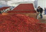 220v-450v Conveyor Mesh Belt Dryer