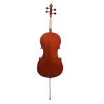 China Hand Made Professional Wholesale Glossy Varnishing 4/4 Cello The panels
