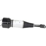 Jaguar Air Suspension shock absorber Front air struts XJR XJ C2C41349 C2C41339