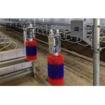 Aluminum Alloy Window and Q345 Prefab Steel Cow Farm Building for Dairy Cow