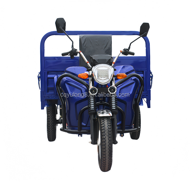 400-1000kg Loading Capacity 1500W Electric Tricycle Cargo Vehicle for Farm and Freight