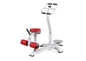 China Gym Dedicated Life Fitness Strength Equipment Durable Seated Twist Trainer Machine wholesale