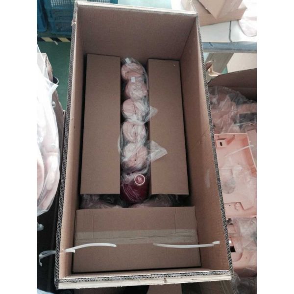Teaching Training Maternal Neonatal PVC Child Birth Simulator