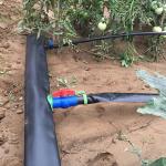 Sturdy Construction 380V/50Hz Density Polyethylene Pipe Making Machine
