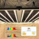 Indoor Plants 150lm/W IP65 Horticulture LED Grow Lights