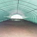 Agricultural Greenhouses Easy Installation Tunnel Greenhouse with 1.5 Meter Arch