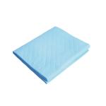 Extra Large Dog Pee Pads for Pet Training 600X600mm Absorbent Capacity 100