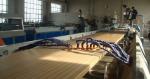 WPC Foam Board Machine , Wood Plastic Extrusion Line For Furniture