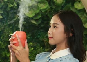 China Lemon humidifier oem ultrasonic led mist humidifier 2018 hot selling product wholesale