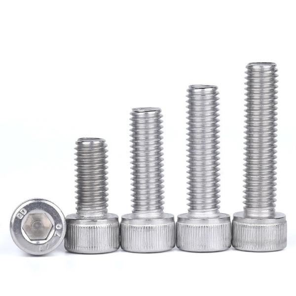 Mechanical Stainless Steel SS 304 316 316L Cylindrical Head Hexagon Hex Socket