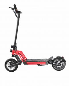 China On sale powerful electric beach scooter with 48V lithium battery 800W motor 10 inch tire wholesale