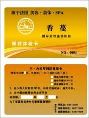 China Custom name card,  gift card,  discount card, VIP card, membership card printing on sale