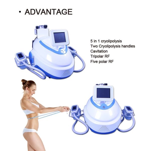 RF Cryolipolysis Slimming Machine dual frequency cavitation cryolipolysis vacuum machine