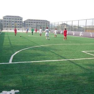 China Sports Non Infill Artificial Grass Soccer Field Envrionmental Protection wholesale