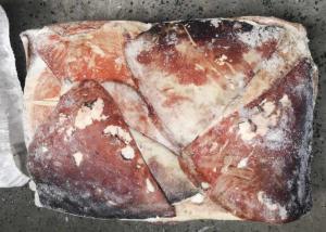 China Brc Equator Squid Wing Catching Area: Pacific Ocean Fao 87 1000g Up Size wholesale