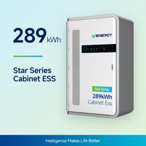 China Commercial &amp; Industrial Battery Storage Cabinet 289 kWh wholesale
