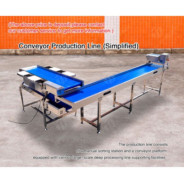 Conveyor Production Line Simplified Orange Potato Onions Ginger Potato Carrot Taro Sweet potato Yam Saiko persimmon papaya horseshoe processing