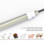 Colorful Long 1200mm LED Tube Lighting IP65 18w Waterproof Tubes