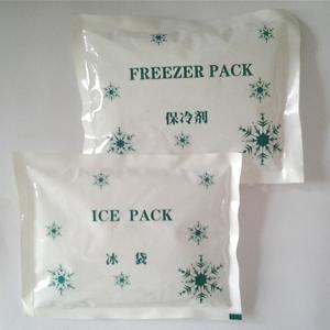 China PE ice pack for keeping food fresh in various sizes wholesale