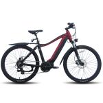 10.4 Ah 36v 500w Electric Bike Mini Pocket 36v E Bike