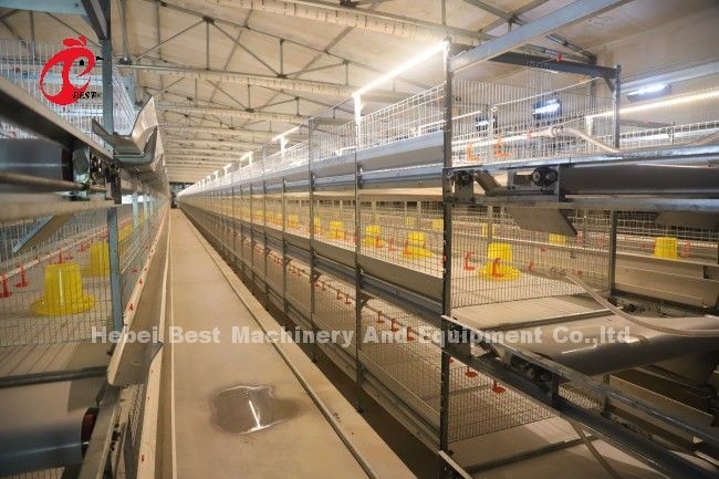 Fully Automatic 100 Chickens Poultry Battery Cage System H Type Hot Galvanized Adela