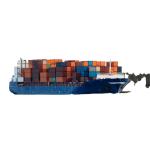 DDU Customized Packaging DDP Sea Shipping With Collect Service