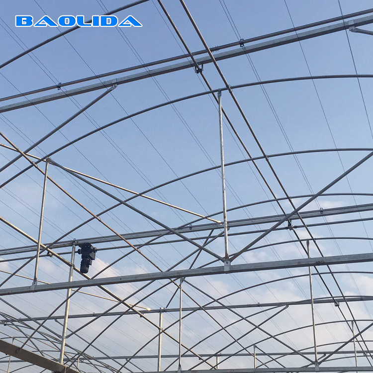 Tomato Poly Natural Plastic Film Greenhouse / Polyethylene Foil Greenhouse
