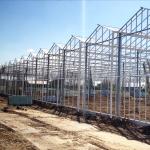 Multi Span Venlo Type Greenhouse / PC Polyethylene Film Greenhouse Sides