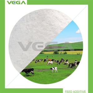 China Tilmicosin 20% Animal Drug China Product wholesale