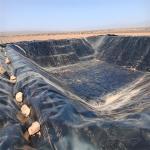 Fish Farm Pond Liner HDPE Geomembrane Roll Size for Effective Leakage Prevention