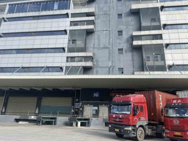 Guangdong Government Frozen Storage Warehouse International Transfer Logistics