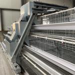 8.67m/Min Livestock Automatic Chicken Feeder System , SGS 0.75kw Chicken Feed
