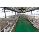 Steel Structure Prefab Farm Building for Cow Barn Sheep/Cattle/Dairy/Goat House