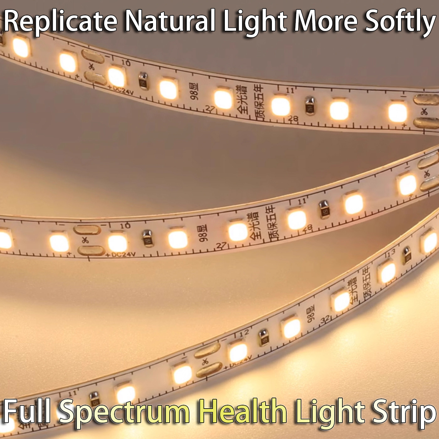 Flexible Light Strip 24V / 36V Outdoor Waterproof Decoration Atmosphere Bright Lighting