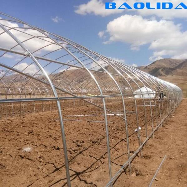 Agricultural Plastic Film Covering Shed Single Span 8m Width Polyethylene Film