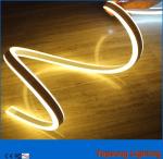 12v high quality outdoor blue double side led neon flexible light